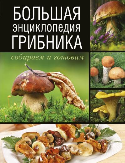 Большая энциклопедия грибника. Собираем и готовим