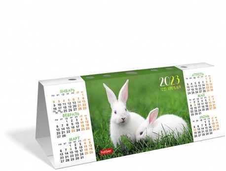 Календарь настольный 2023 (домик) КД6 Год кролика