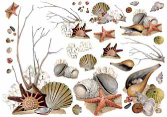 Творч Бумага для декупажа 35*50 25гр/м2 рисовая Морское дно