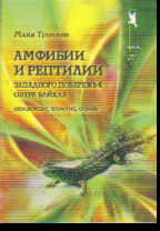 Амфибии и рептилии западного побережья озера Байкал: Определение, экология