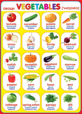 Плакат VEGETABLES Овощи А2 вертик