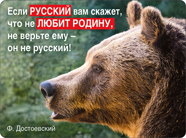 Магнит 51.51.904 Если русский вам скажет... медведь