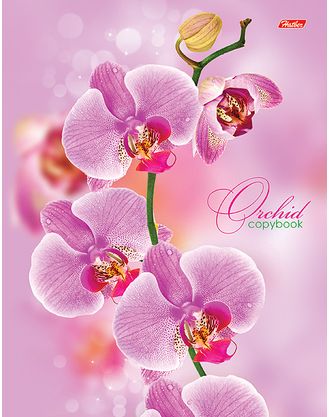Дневник ст кл Розовая орхидея