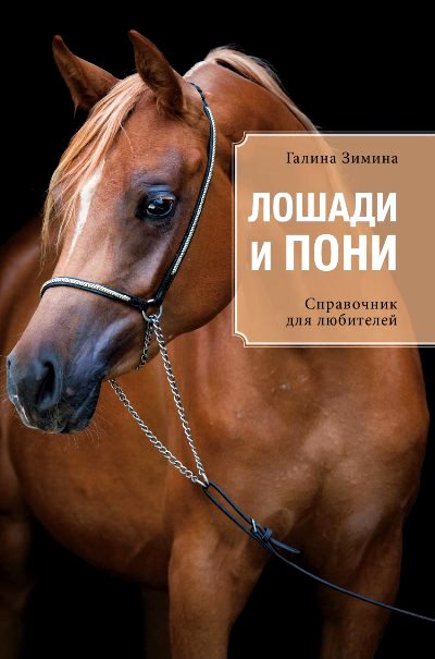 Лошади и пони