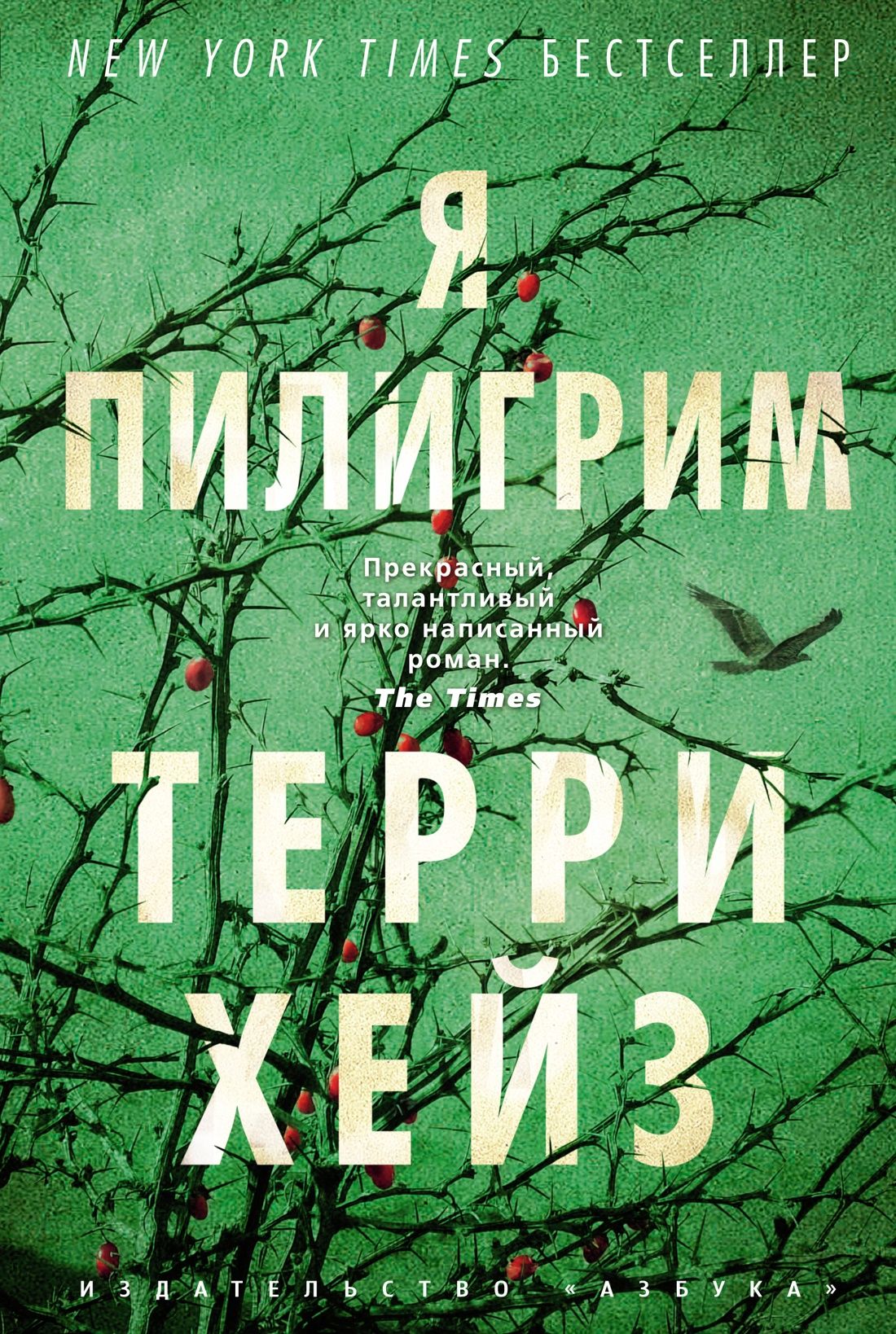 Я Пилигрим: Роман