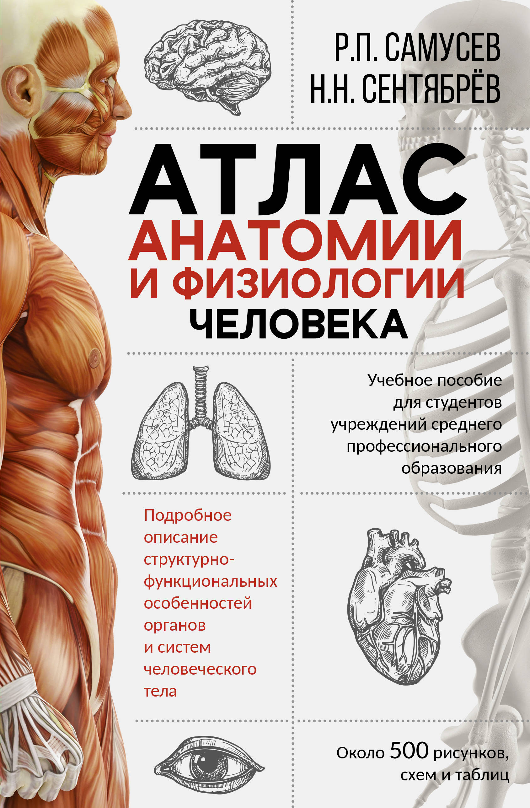 Атлас анатомии и физиологии человека: Учебное пособие для студентов учреждений среднего профессионального образования