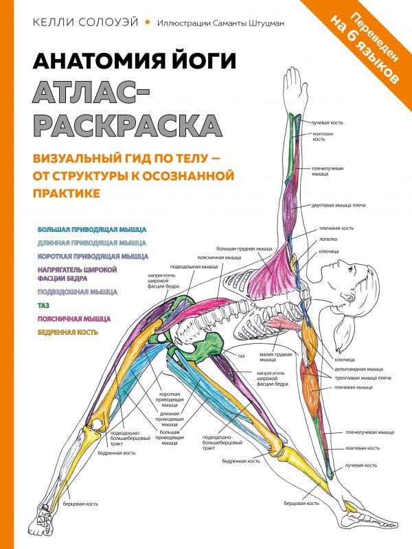 Анатомия йоги: Атлас-раскраска. Визуальный гид по телу - от структуры к осознанной практике