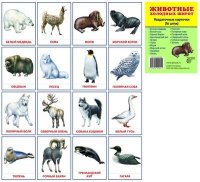 Раздаточные карточки Животные холодных широт (16 штук)
