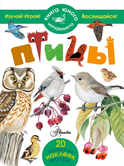Птицы