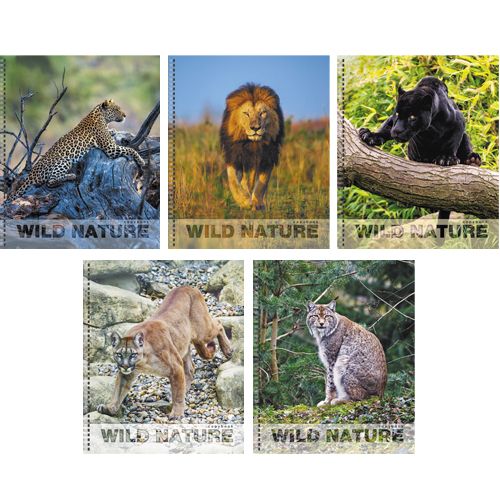 Тетрадь 96л кл спир Грациозные хищники