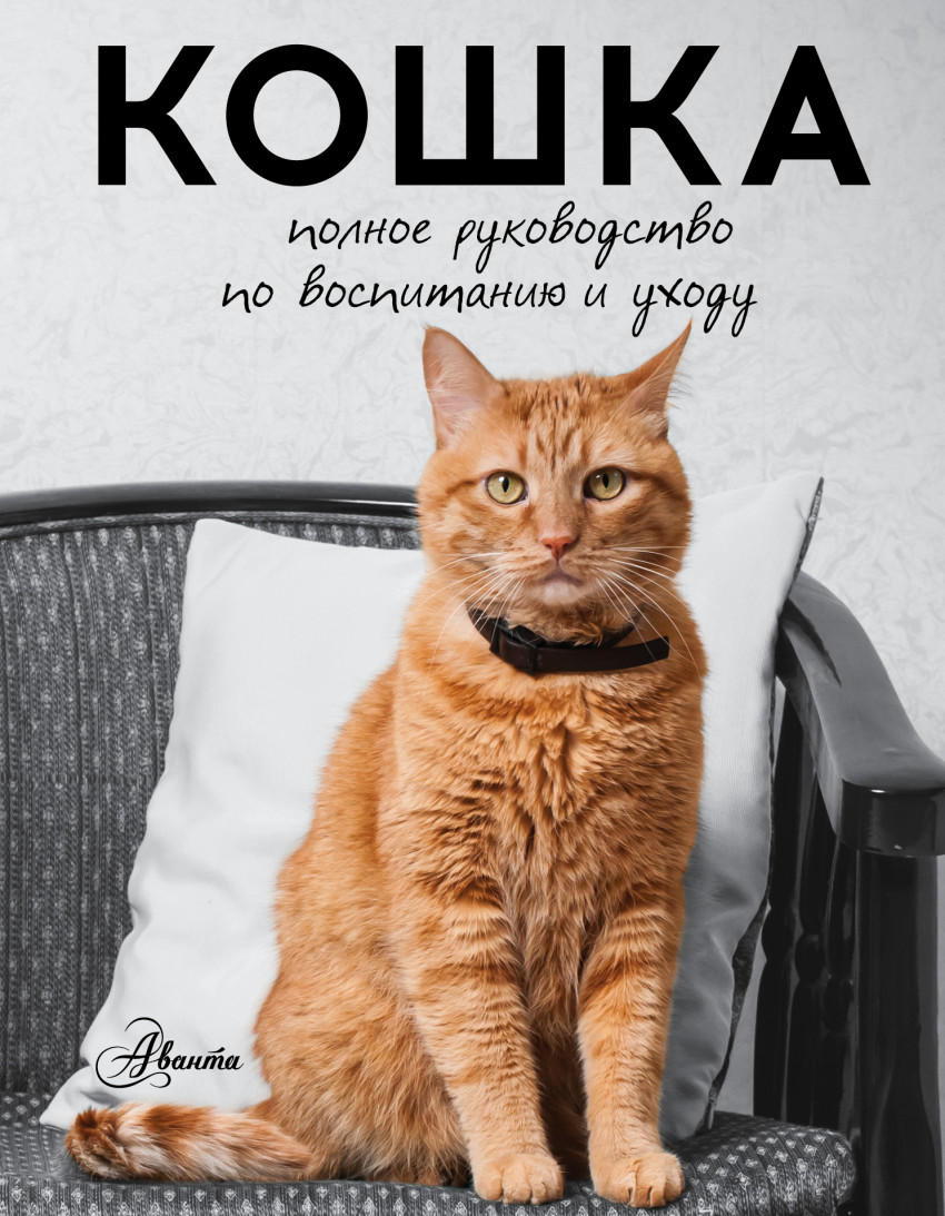 Кошка: Полное руководство по воспитанию и уходу