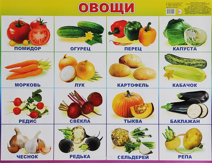 Плакат Овощи