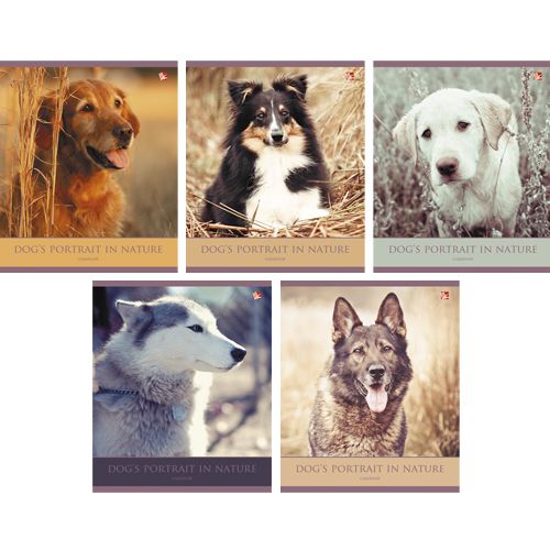 Тетрадь 96л кл Big Data