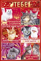 Открытка 72.312 Тебе... сред фольга кошки коллаж