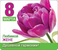 Магнит 51.16.303 8 марта Любимой жене... винил тюльпан