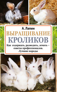 Выращивание кроликов