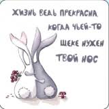 Магнит р2-72 Жизнь ведь прекрасна... (два кролика)
