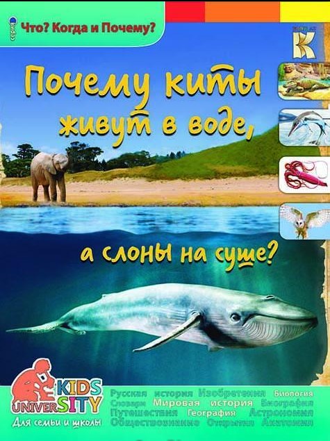 Почему киты живут в воде а слоны на суше?