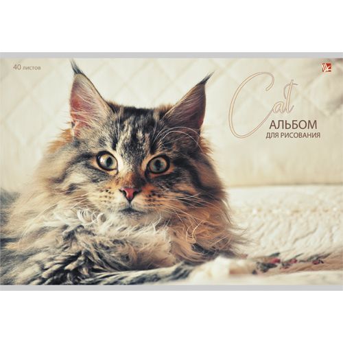 Альбом д/рис 40л Пушистый Кот Cat