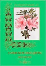Самые красивые цветы
