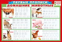 Плакат Первые прописи Домашние животные А3 Пиши-Стирай