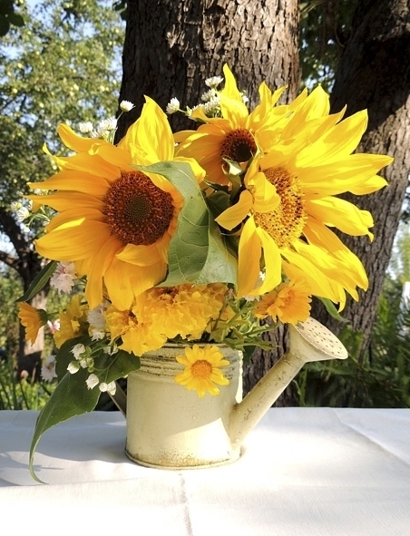 Творч Папертоль Подсолнухи 18*23см