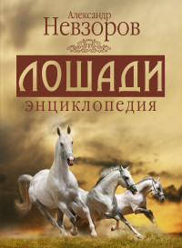 Лошади энциклопедия