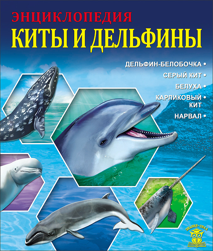Киты и дельфины: Энциклопедия