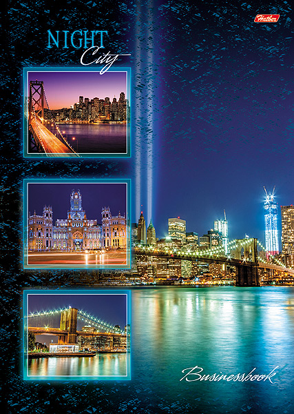 Тетрадь А4 тв 120л кл Ночной город