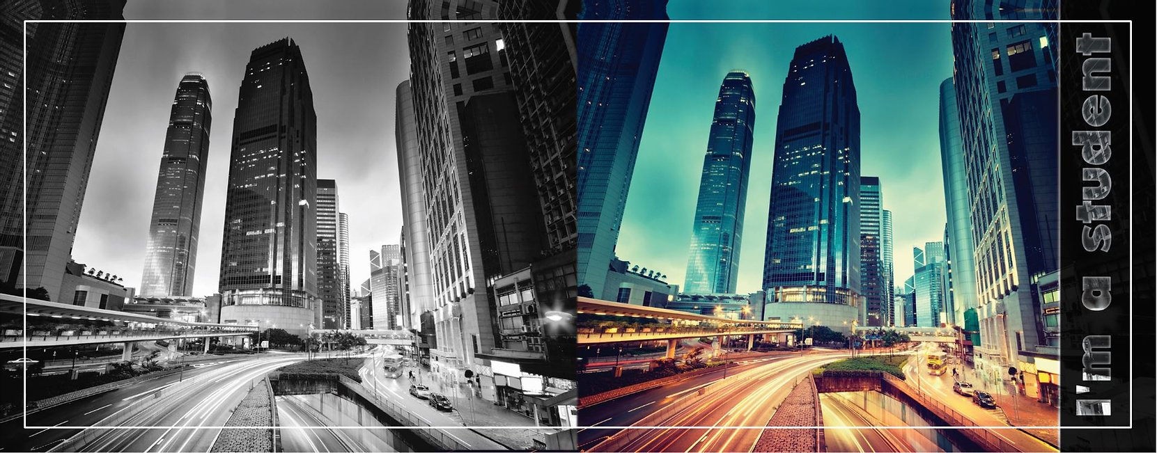 Обложка д/студенческого билета ПВХ Мегаполис