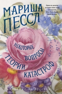 Некоторые вопросы теории катастроф: Роман