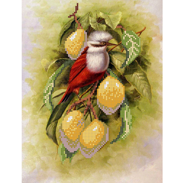 Творч Вышивка бисером Рисунок 19,5х28 Птичка лимоны