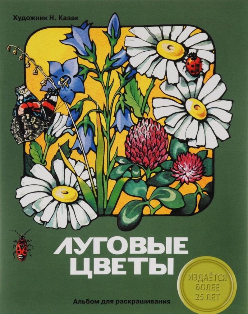 Раскраска Луговые цветы