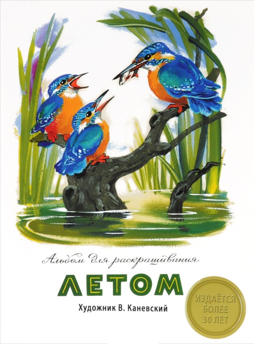 Раскраска Летом