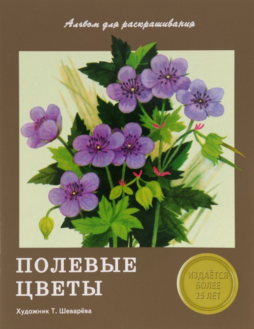 Раскраска Полевые цветы