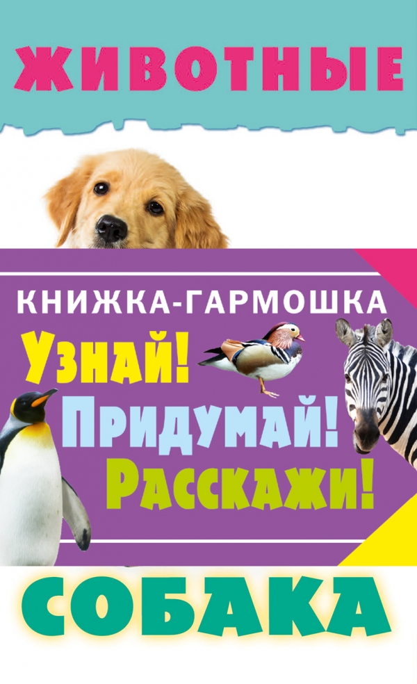 Животные: Собака
