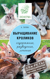 Выращивание кроликов. Как содержать, разводить, лечить - советы