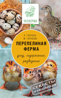 Перепелиная ферма: уход, содержание, разведение