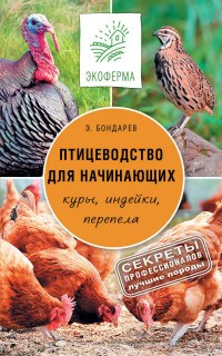 Птицеводство для начинающих: куры, индейки, перепела
