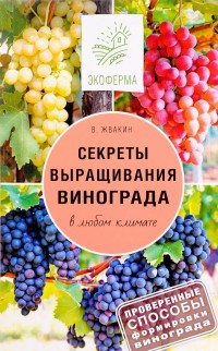 Секреты выращивания винограда в любом климате