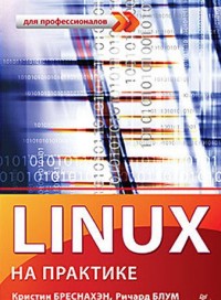 Linux на практике