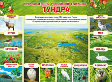 Плакат Природные зоны Российской Федерации Тундра А2 горизонт