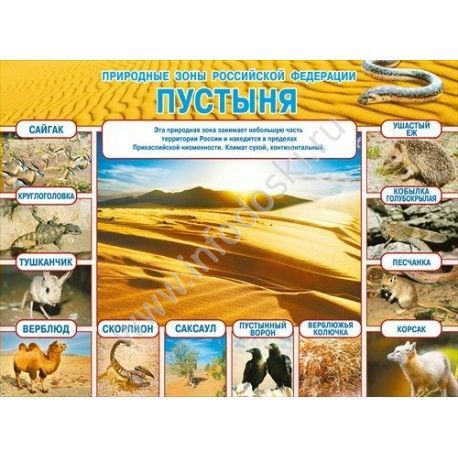 Плакат Природные зоны Российской Федерации Пустыня А2 горизонт