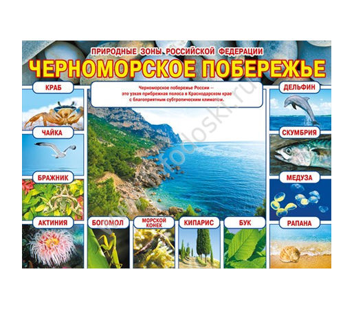 Плакат Природные зоны Российской Федерации Черноморское побережье А2 горизн