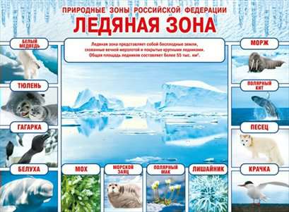 Плакат Природные зоны Российской Федерации Ледяная зона А2 горизонт