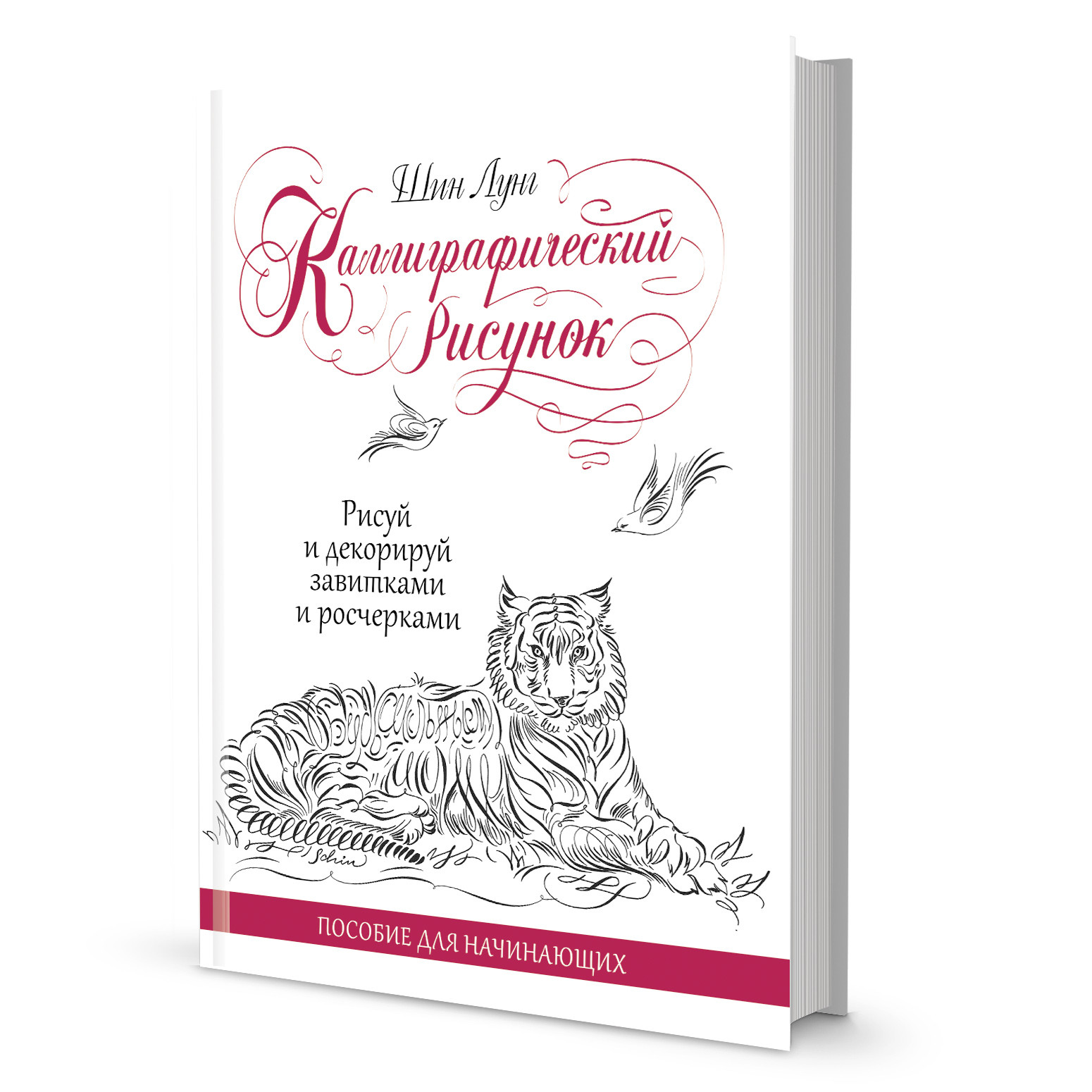 Каллиграфический рисунок. Пособие для начинающих