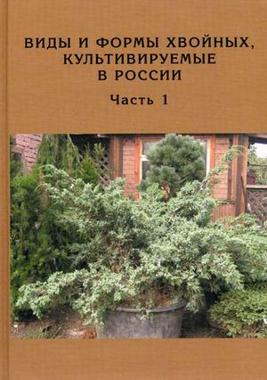 Виды и формы хвойных, культивируемых в России: Ч.1