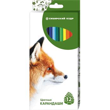 Карандаши цветные 12 цв Сибирский кедр. Звери к/к