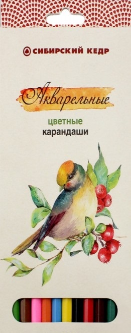Карандаши цветные 12 цв Сибирский кедр. Птицы Сибири акварельные к/к