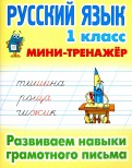 Русский язык. 1 кл.: Развиваем навыки грамотного письма